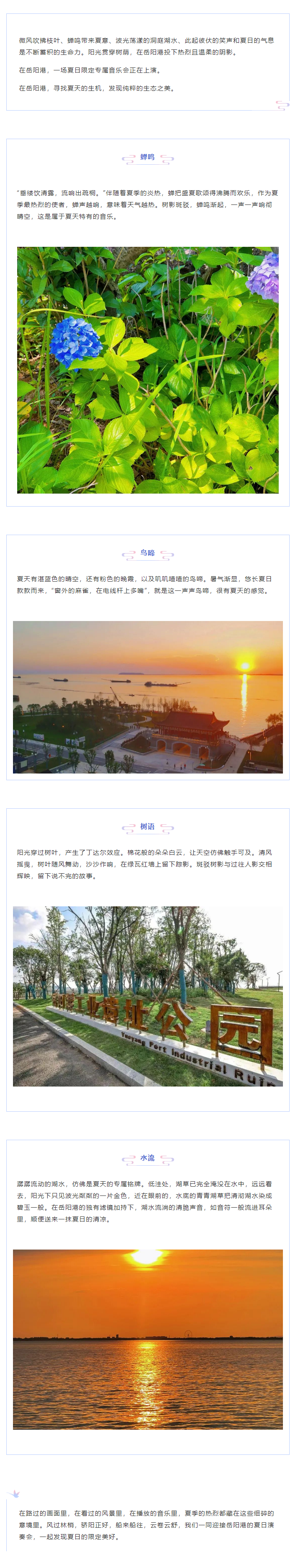 【夏日演奏會】在岳陽港，聆聽夏天的聲音.png